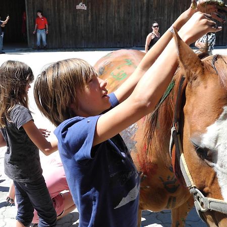 Espi-Stables Ferienhof Esterhammer Liebenau  Exteriér fotografie