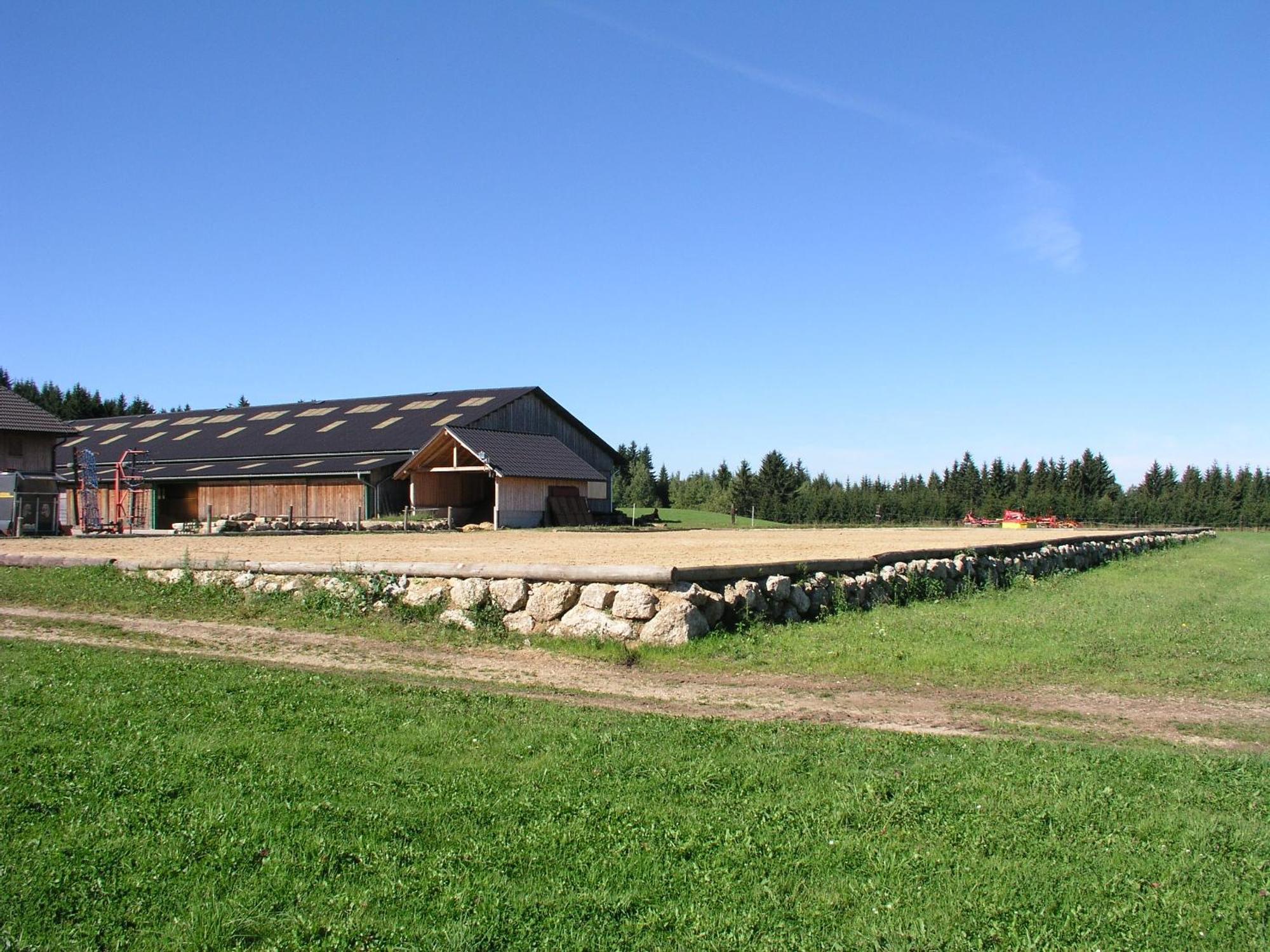 Espi-Stables Ferienhof Esterhammer Liebenau  Exteriér fotografie