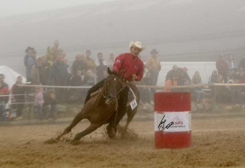 Espi-Stables Ferienhof Esterhammer Liebenau  Exteriér fotografie