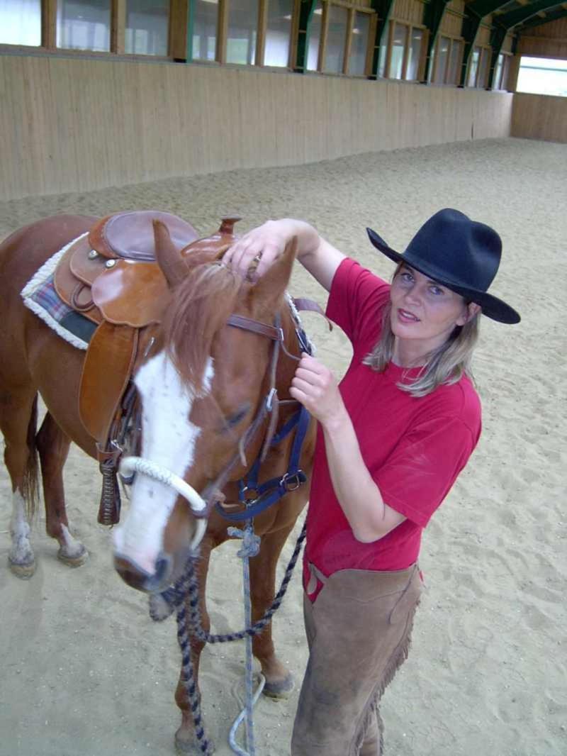 Espi-Stables Ferienhof Esterhammer Liebenau  Exteriér fotografie