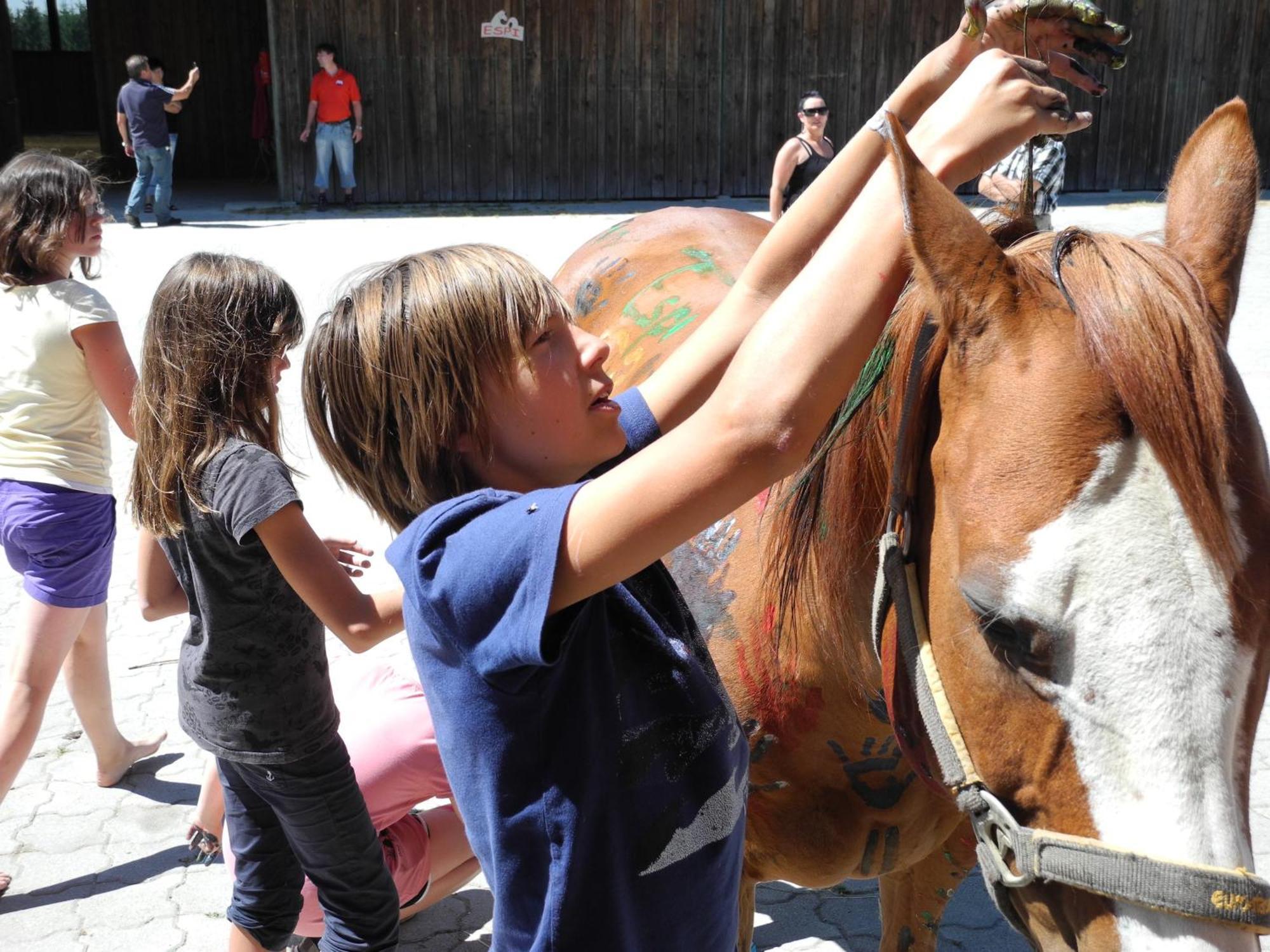 Espi-Stables Ferienhof Esterhammer Liebenau  Exteriér fotografie