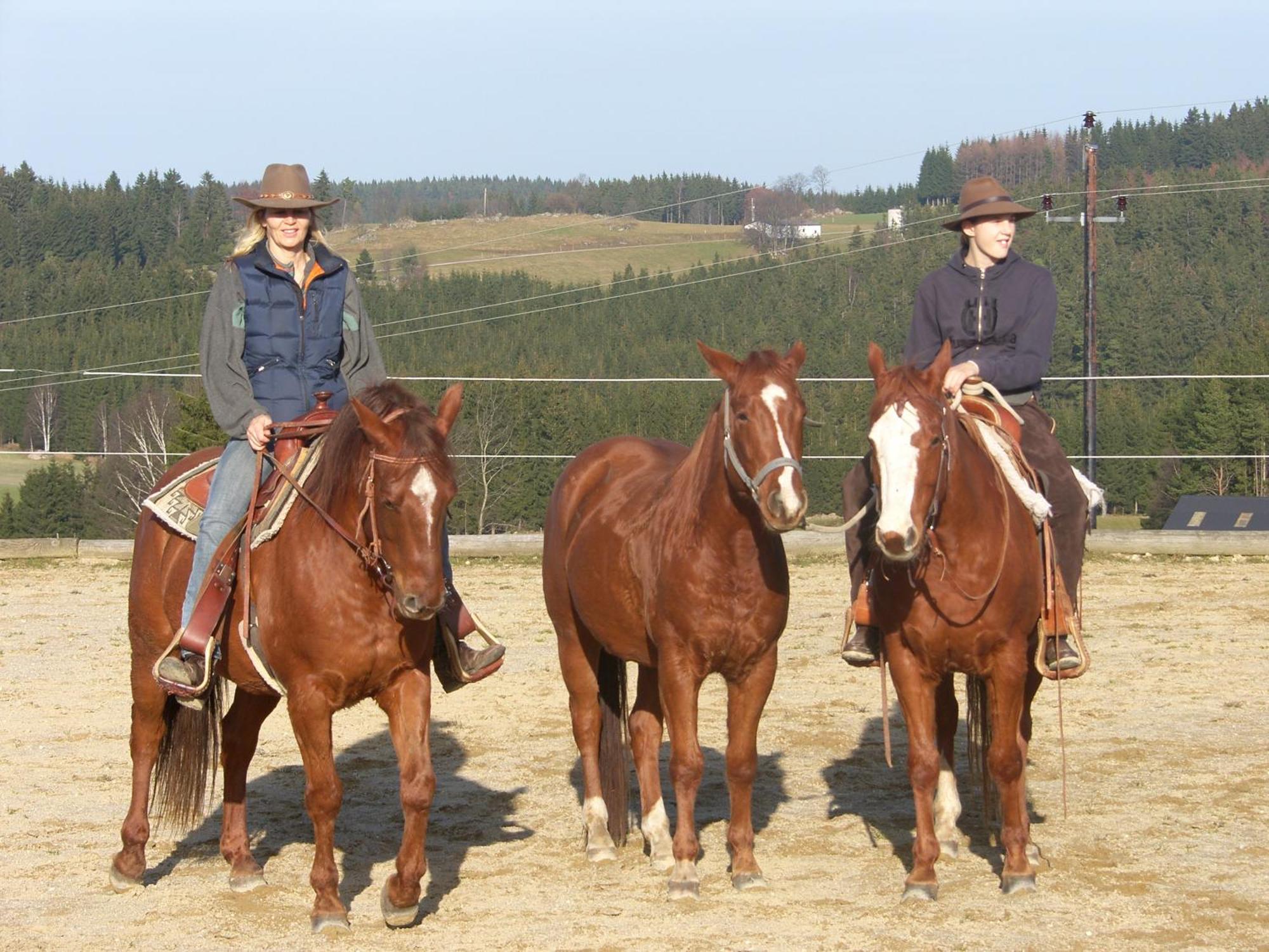 Espi-Stables Ferienhof Esterhammer Liebenau  Exteriér fotografie