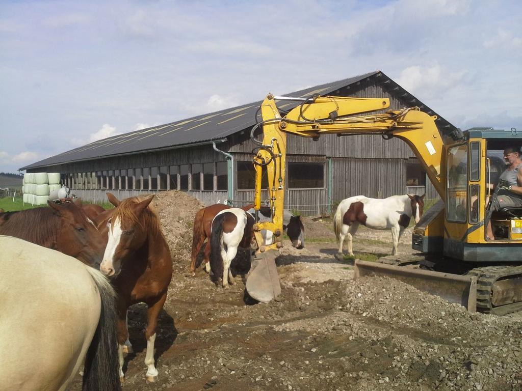 Espi-Stables Ferienhof Esterhammer Liebenau  Exteriér fotografie