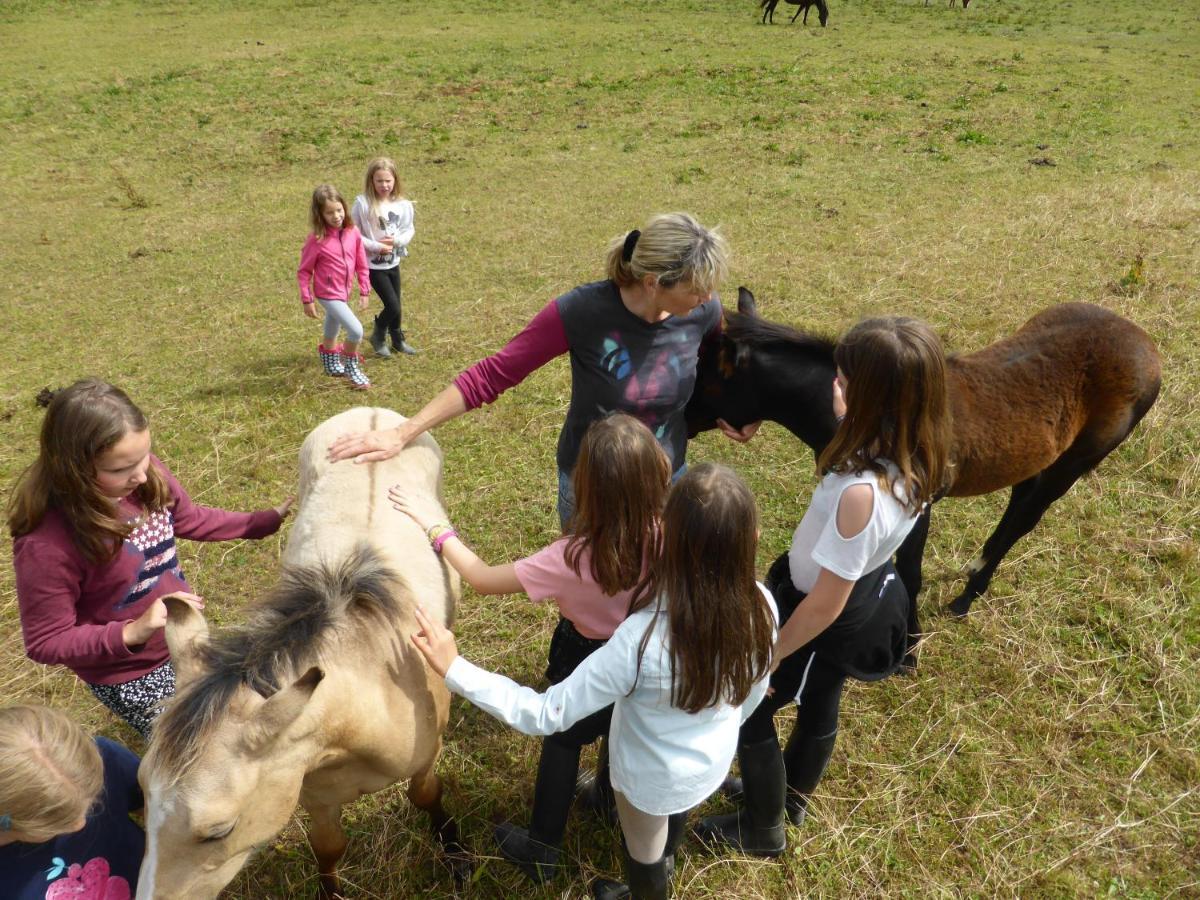 Espi-Stables Ferienhof Esterhammer Liebenau  Exteriér fotografie