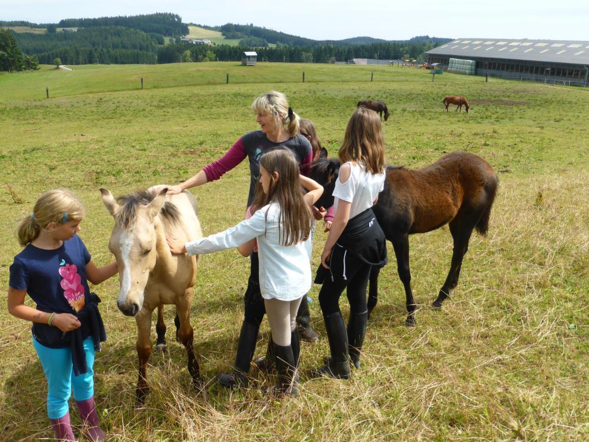 Espi-Stables Ferienhof Esterhammer Liebenau  Exteriér fotografie